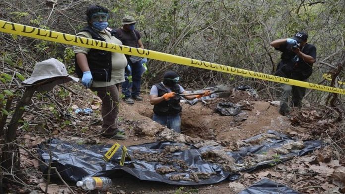 Descubren 86 bolsas con restos humanos cercenados en fosa clandestina |