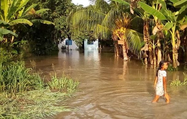 Desbordamiento del río Chama afecta sembradíos de plátano en Zulia -