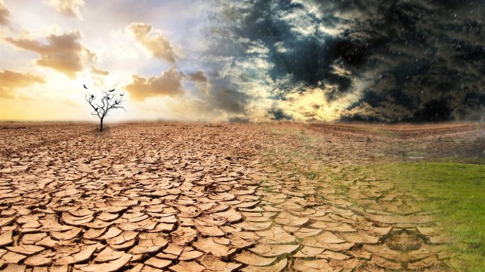 Desertificación y la Sequía