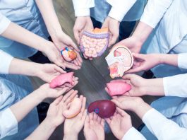 Donantes de organos y tejidos