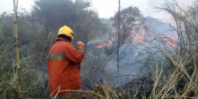 Comando Unificado contra Incendios Forestales atendió 41 incendios en el estado Lara