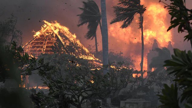 Hawái: 55 muertos por incendio forestal sorprende a la humanidad