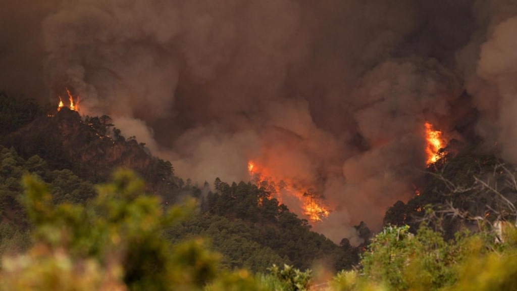 Evacuan a 13 mil personas en Tenerife por voraz incendio