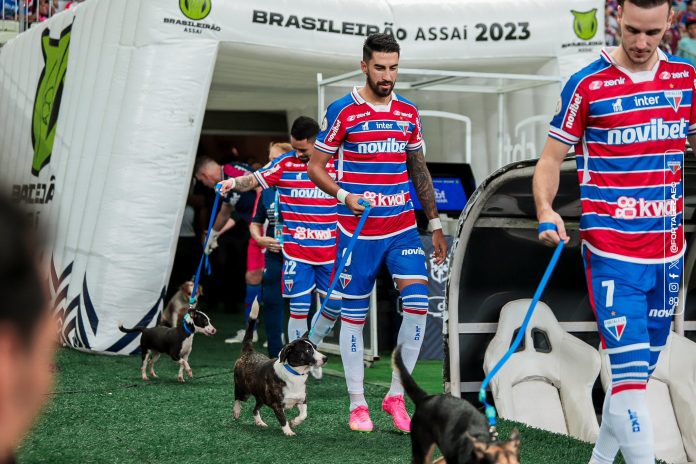 Jugadores del Fortaleza FC saltaron a la cancha con mascotas en adopción