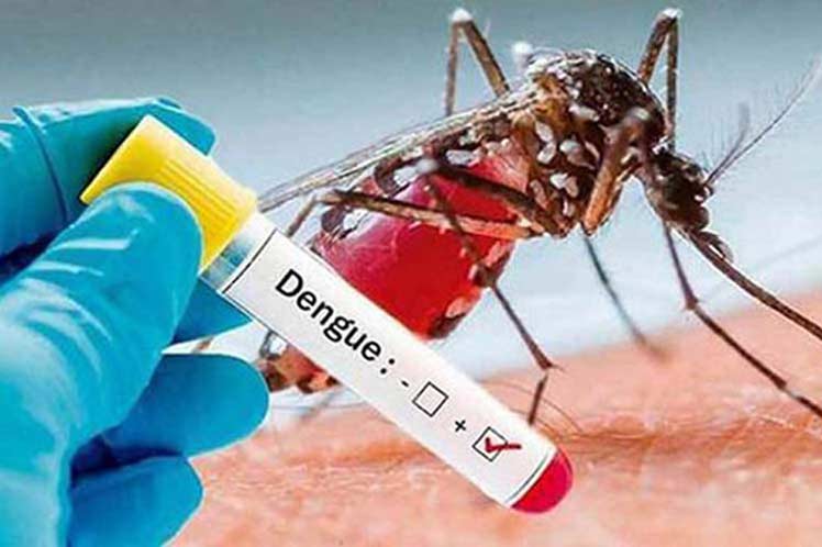 Panamá registra 10 fallecidos por dengue
