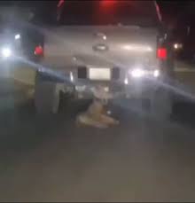 Detuvieron al ''monstruo'' de Barinas que arrastró a su perro con su camioneta