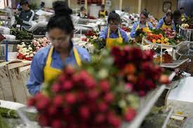 Mercado de flores en Colombia no quiere marchitarse