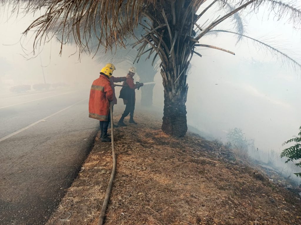 Incendio forestal en la Ribereña con 48 genera zozobra en los conductores