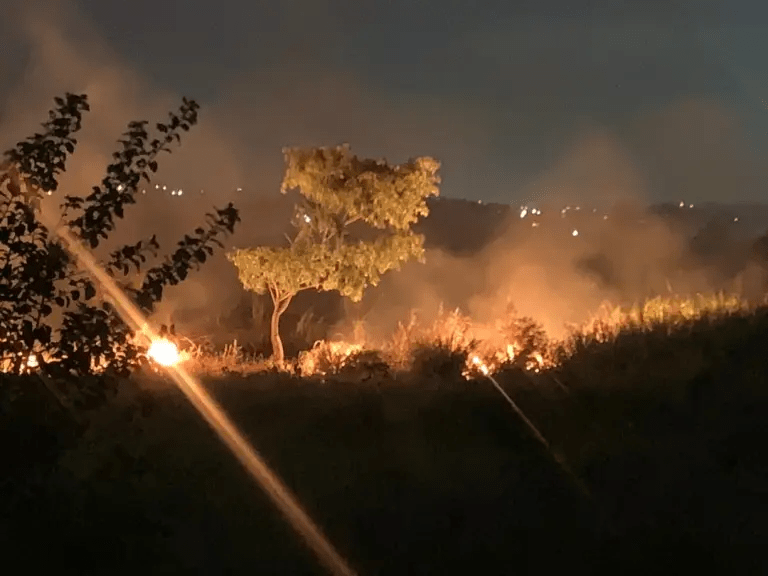 Incendio forestal en los terrenos de la UCLA