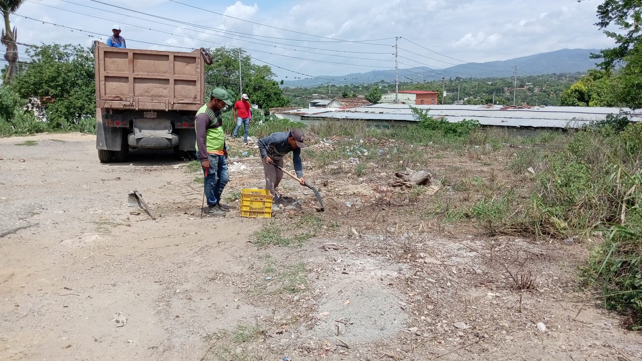 Alcaldía ejecuta saneamiento de terreno en el Centro de Barquisimeto