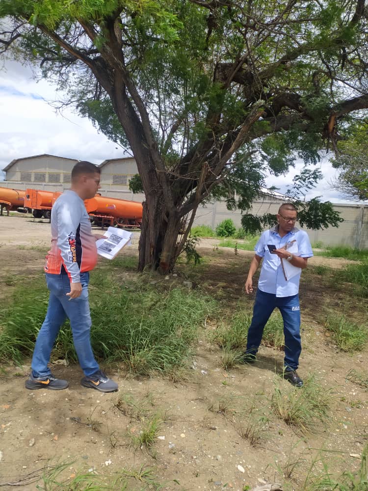 Alcaldía de Iribarren atendió 85 solicitudes de poda de árboles