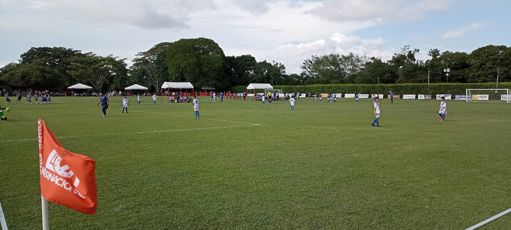 Copa Tomás Rincón reúne a niños de 14 estados del país