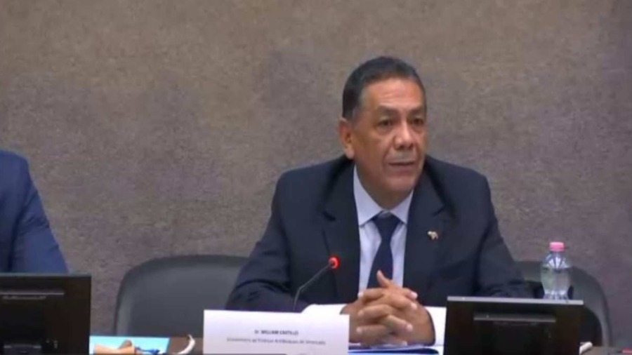 ¡Avances! Viceministro William Castillo expuso ante los BRICS bondades de las Zonas Económicas Especiales