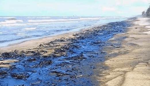 ¡Alerta! Consejo comunal denuncia nuevo derrame petrolero en Boca de Aroa