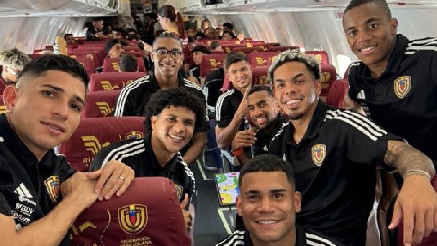 SELECCION VINOTINTO