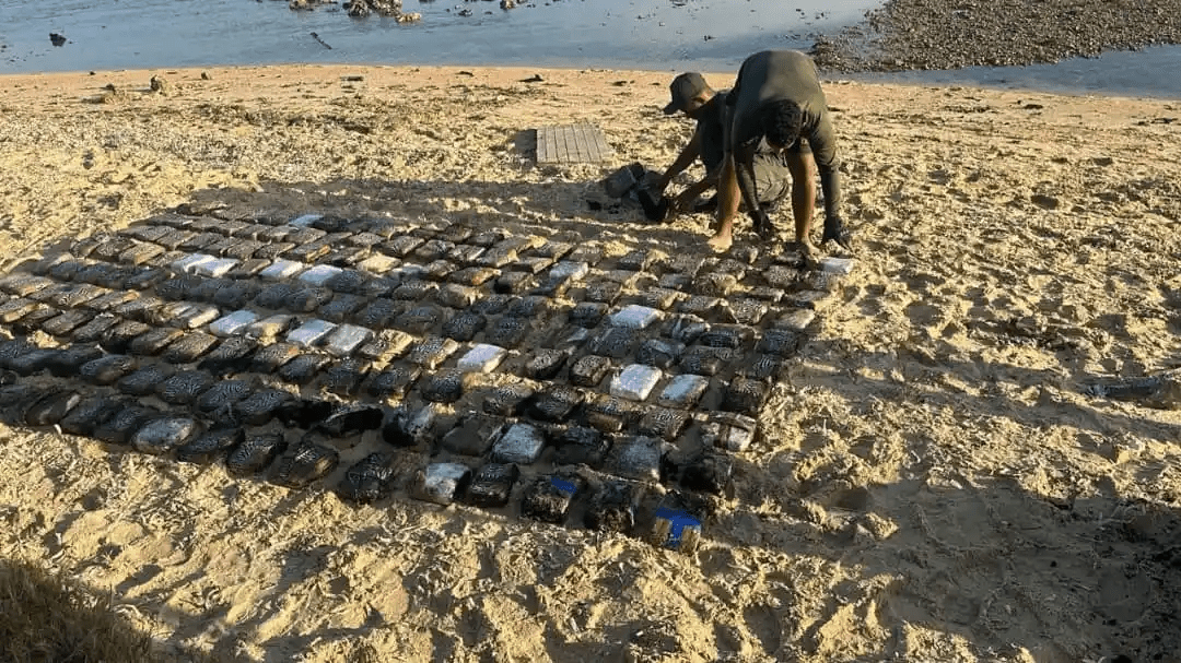 Incautan 50 panelas de marihuana en playa de Paraguaná