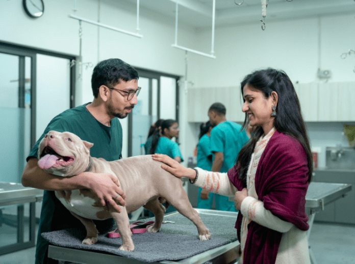 ¡Prevención canina! En Chile lanzan vacuna para esterilización temporal de perros
