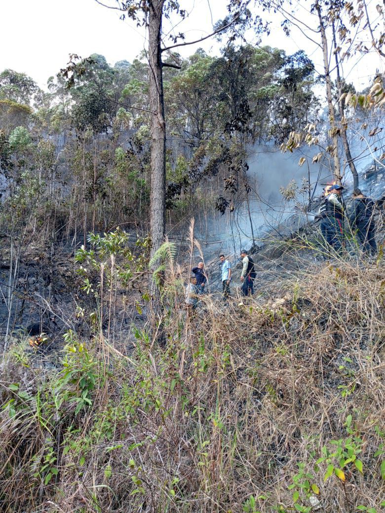 Avioneta accidentada pertenecia al Ministerio de Justicia y Paz