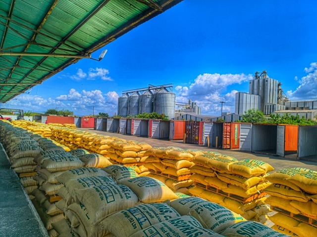 EMCOEX exporta 367 toneladas de café a EEUU