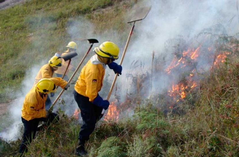 UCV advierte riesgo de incendios por sequedad en venezuela este enero