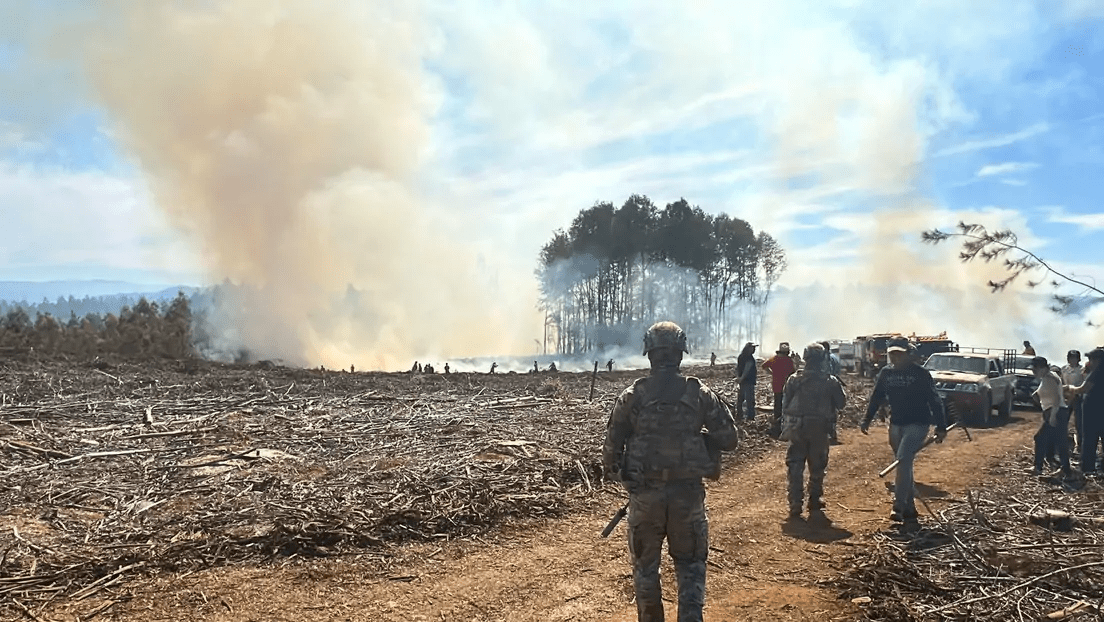 «Extremado peligro»: Incendios forestales arrasan Chile