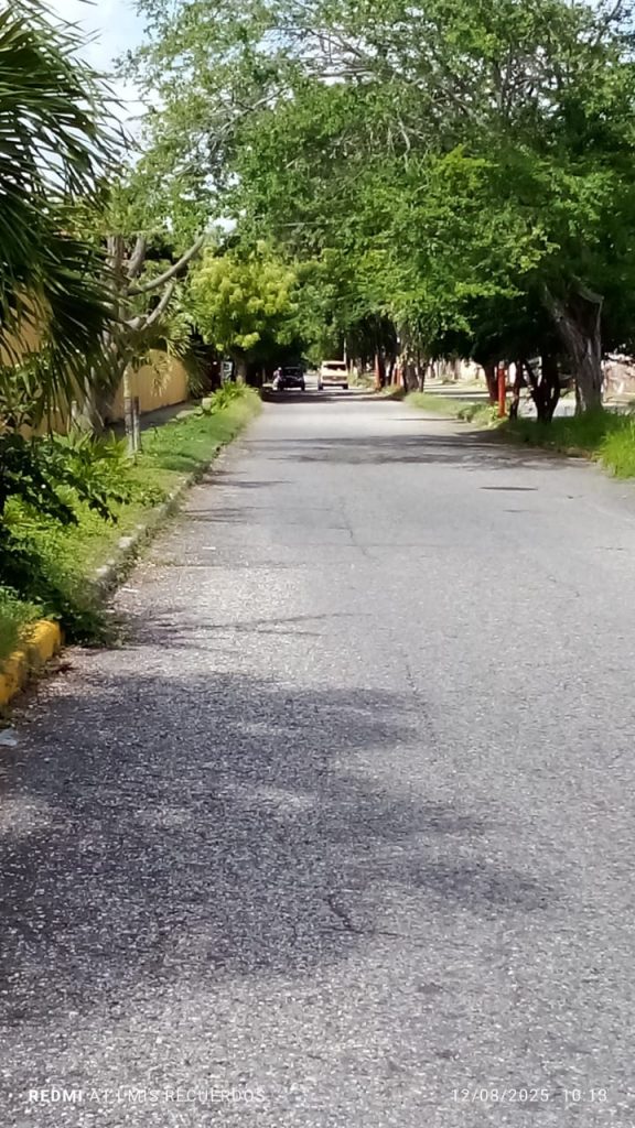 "una boca de lobo"