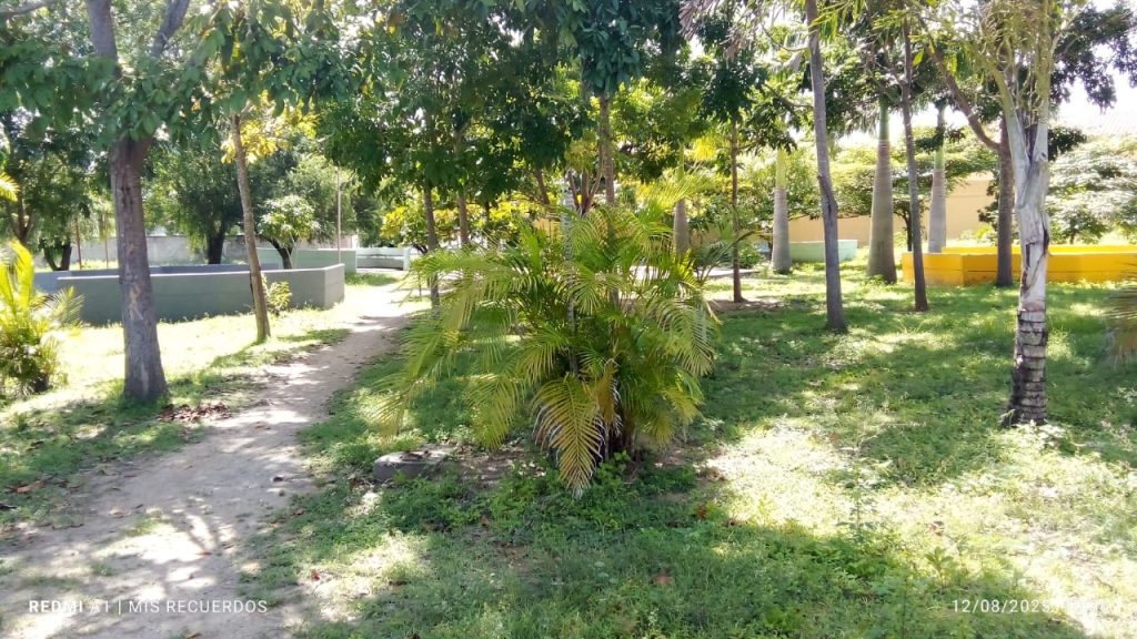 Alerta en La Mora: La Plaza Jacinto Lara, sumida en la oscuridad y el abandono, "una boca de lobo"