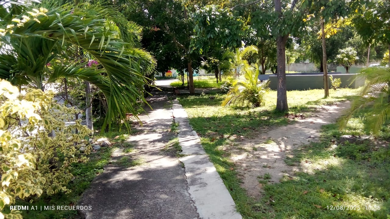 Alerta en La Mora: La Plaza Jacinto Lara, sumida en la oscuridad y el abandono, "una boca de lobo"
