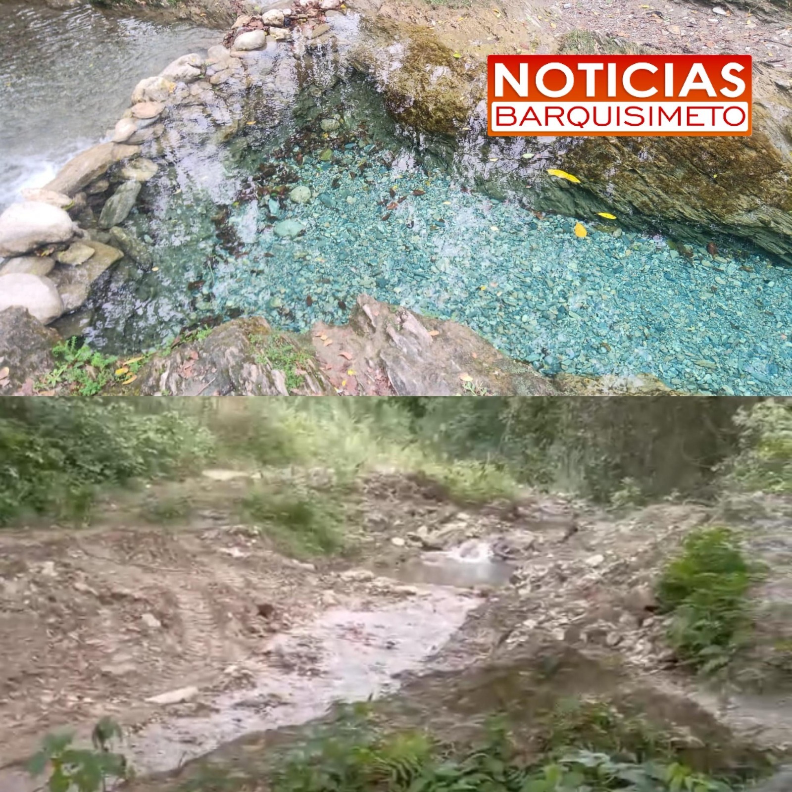 "Palavecino es el municipio donde se han cometido más ecocidios" Presidenta de INECOLARA