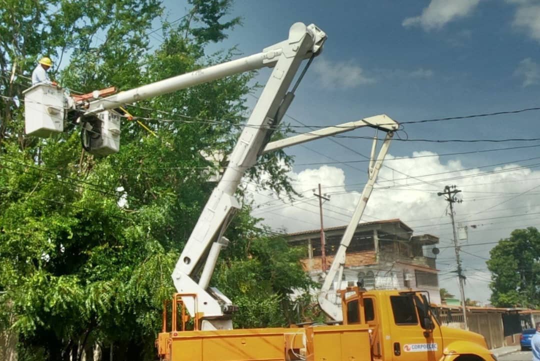 CORPOELEC realizará jornada de control de vegetación en 12 municipios de los estados Falcón, Lara y Zulia