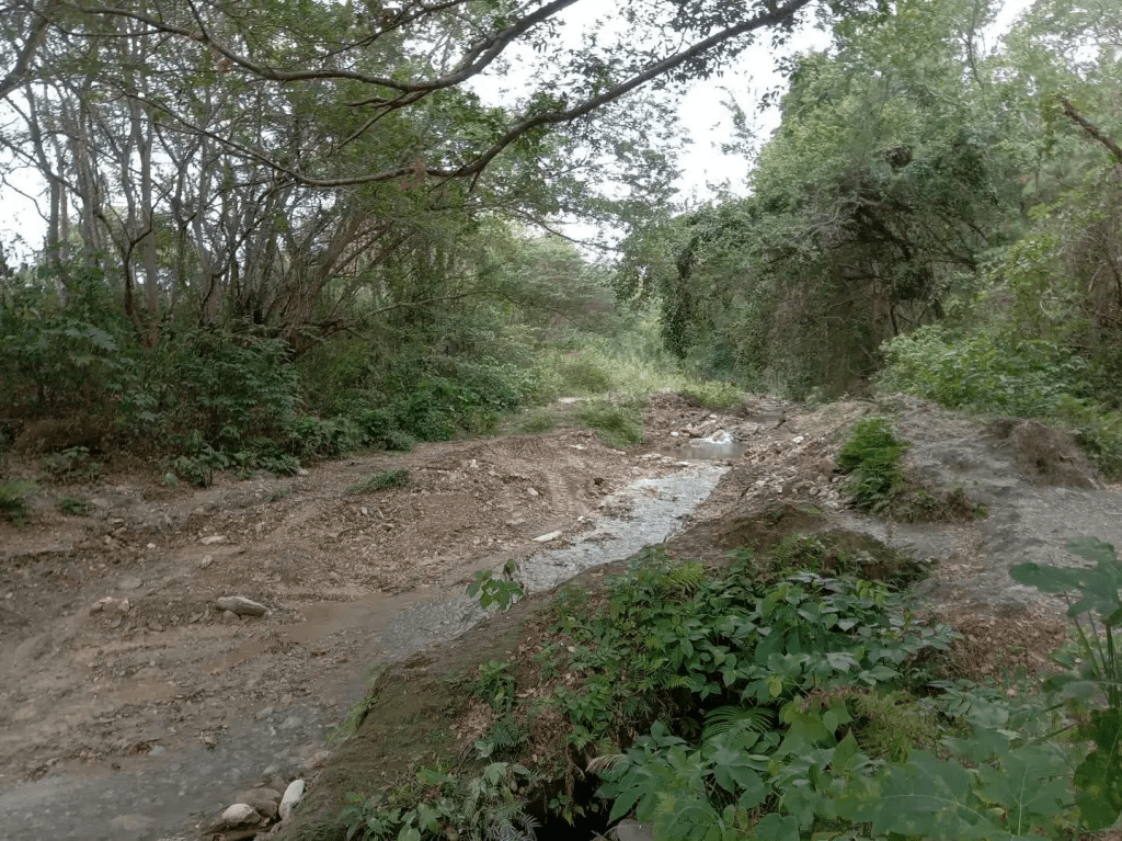 "Palavecino es el municipio donde se han cometido más ecocidios" Presidenta de INECOLARA