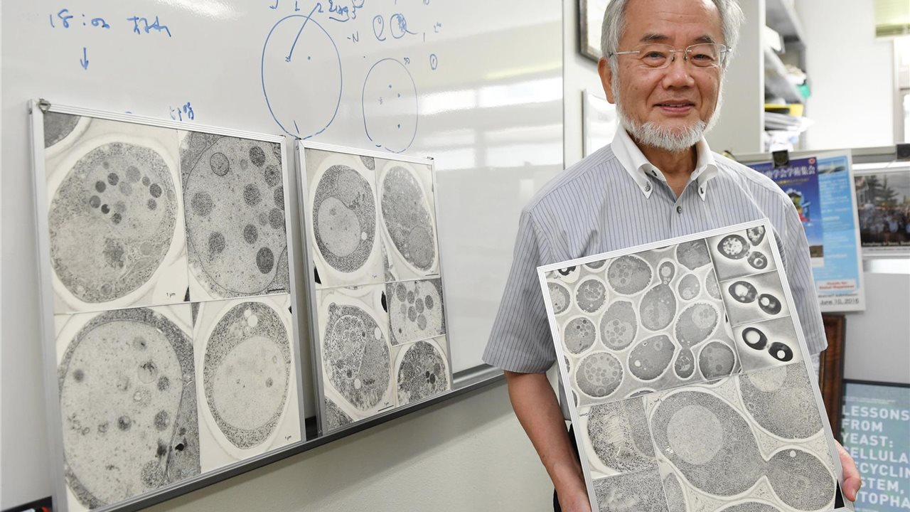 Yoshinori Ohsumi: "Cuando el cuerpo no recibe comida, se alimenta de las células muertas y enfermas del cuerpo"