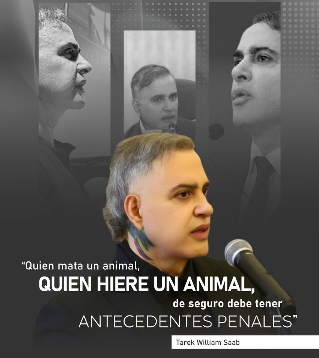 Fiscal Tarek William Saab: "Quien mata un animal de seguro debe tener antecedentes penales"