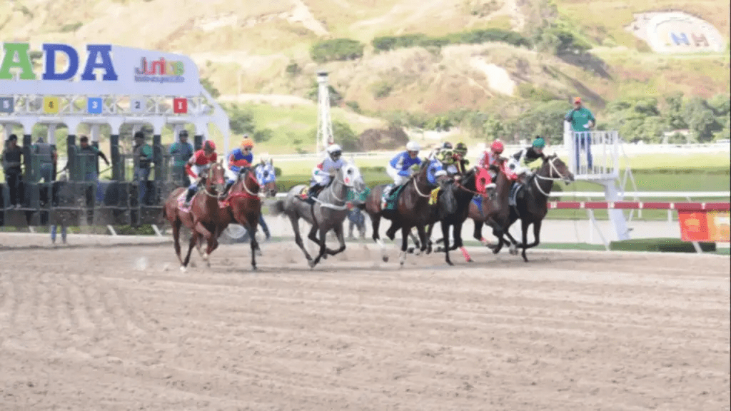 INH: Resultados del Hipódromo La Rinconada, domingo 12-10-2025